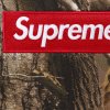 fall winter2025 box logo hooded sweatshirt realtree r ap camo 1 ad 1