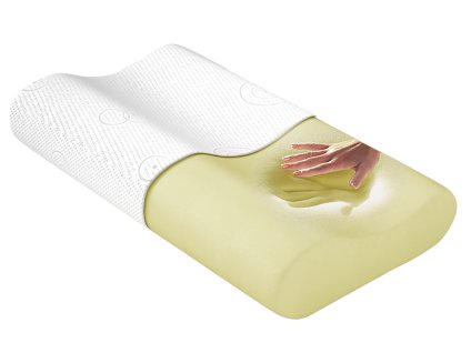 Visco termoelastický polštář (Varianta Visco termoelastický polštář MicrofibreNeuplatňuje se)