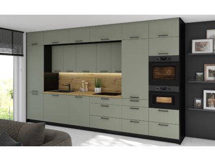 BONN REED GREEN v 1