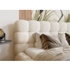čelo anth1