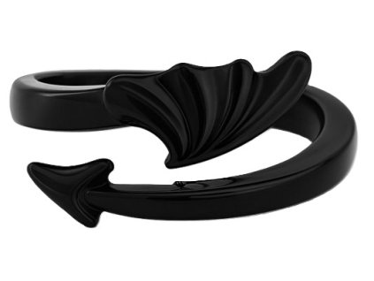 pansky prsten kridlo noci