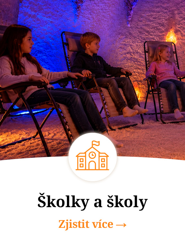 Školky a školy