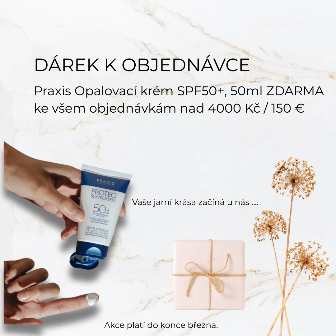 dárek praxis