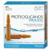 Praxis modré ampule pro hydrataci a lifting pleti proteoglicanos  6 amp.