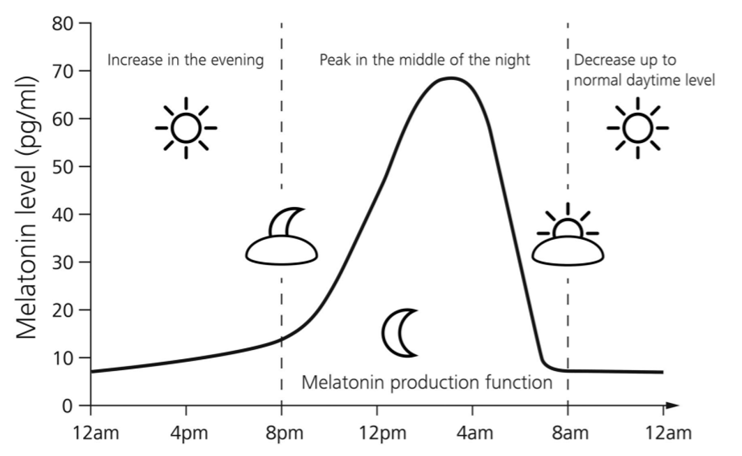 solwo-blog-melatonin