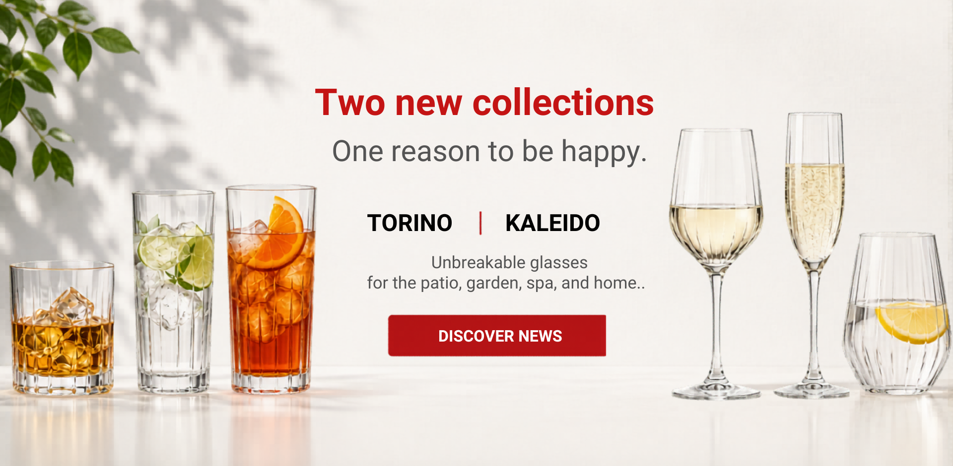 News - Torino and Kaleido