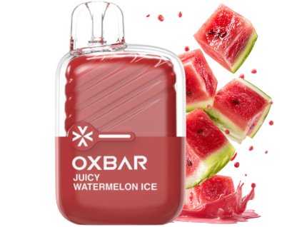 juicy watermelon (4)