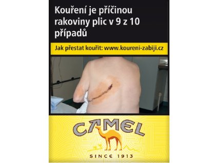 Camel Yellow Shorts (157, )