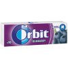 ORBIT BLUEBERRY (2)