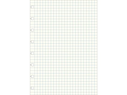Filofax náhradní listy do zápisníků A4 - čtverečkované 162905