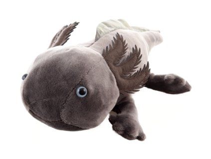 Plyš Axolotl šedý 32 cm ECO-FRIENDLY