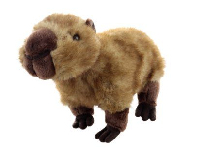 Plyš Kapybara 25 cm Eco-friendly