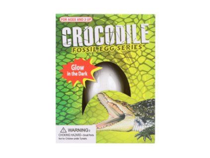 Tesání vejce krokodýl svítící