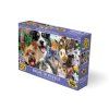Puzzle 3D - Smějící se domácí zvířata