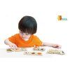 Dřevěné puzzle - třídění dle druhu