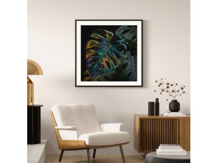 Monstera