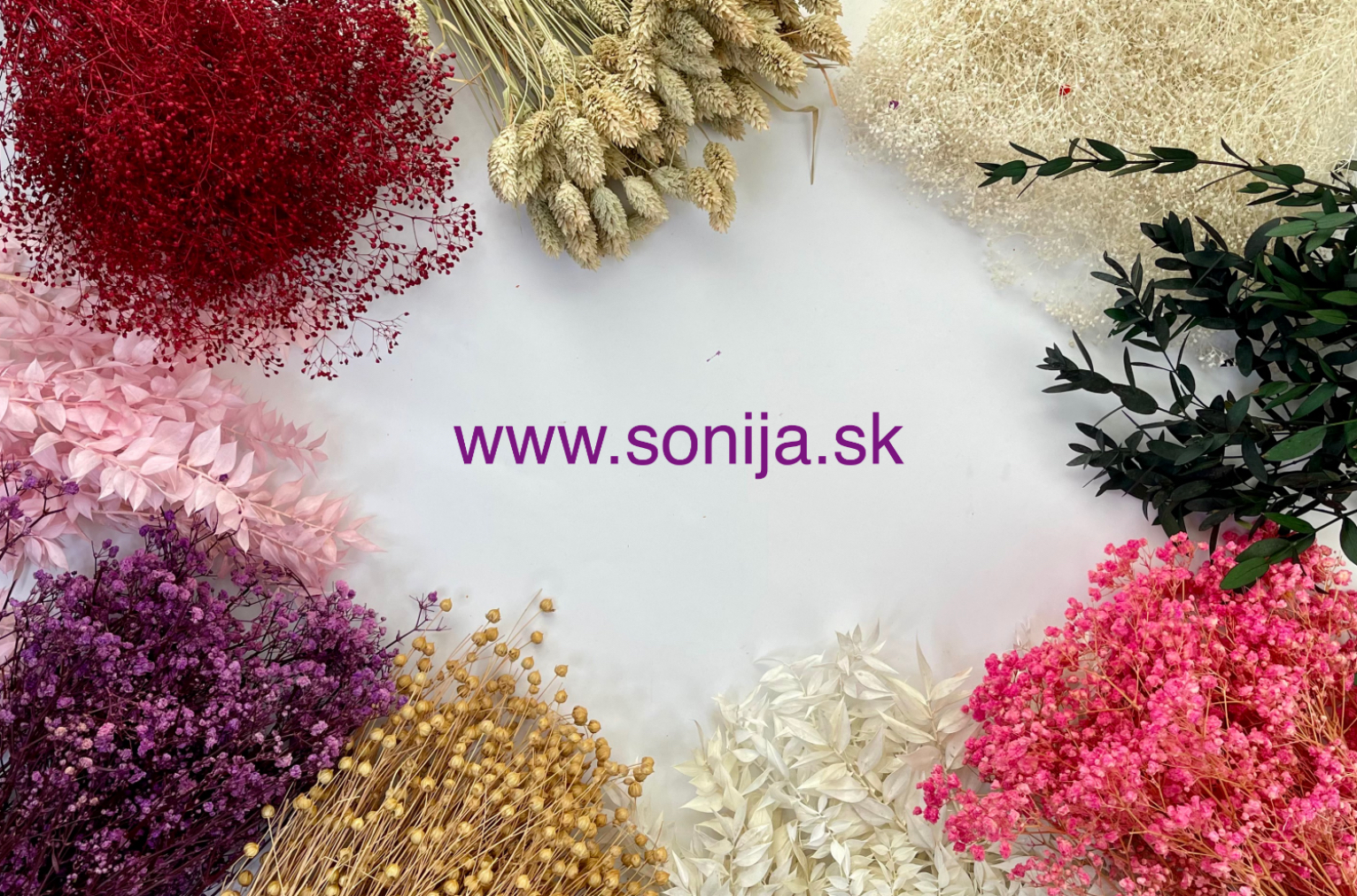 Sušené a stabilizované kvety: Všetko, čo o nich potrebujete vedieť