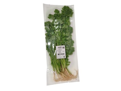 20260131 191619 Photoroom