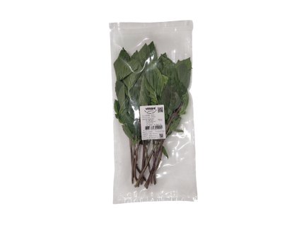 20260131 191709 Photoroom