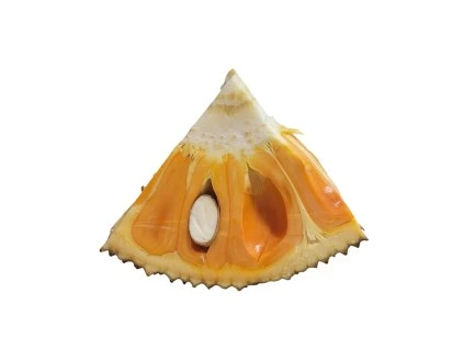 20260321 134334 (1) Photoroom