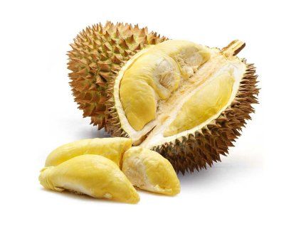 Durian čerstvý plod 1400 g