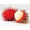 Rambutan 1 kus