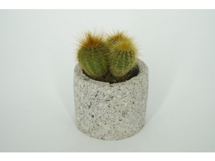 Květináč - Praktik bez voděodolného potěru