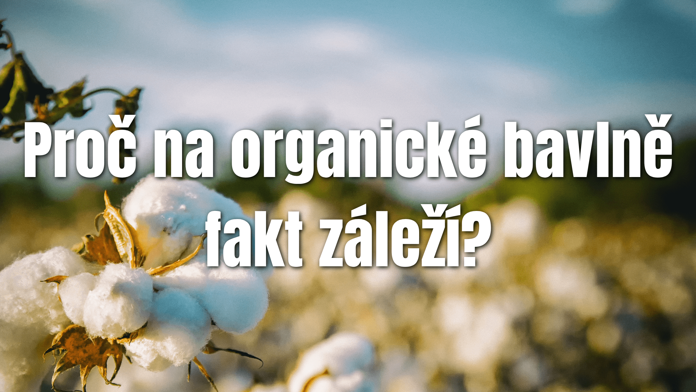 Proč na organické bavlně záleží