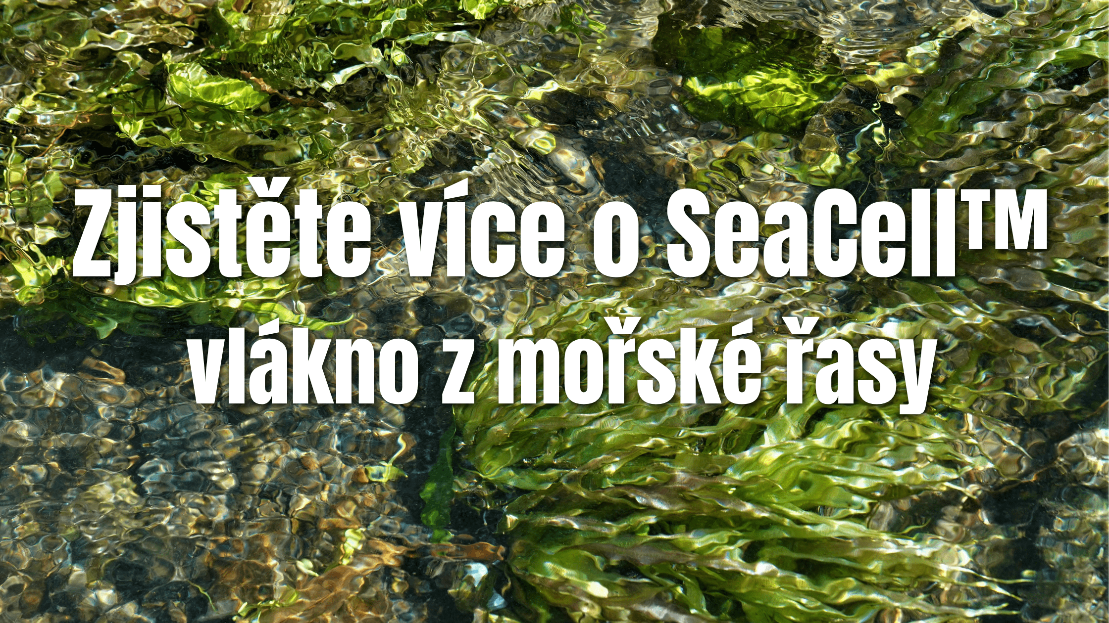Seacell