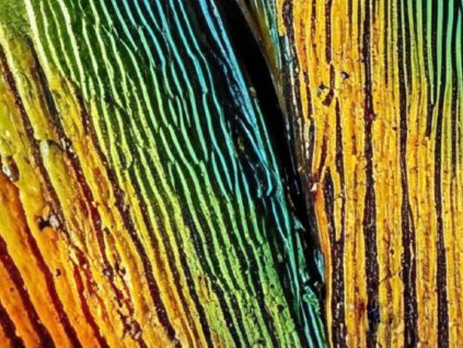 Kompaktní deska pro interiér Fundermax Q005 Papageno, černé jádro