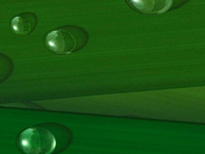 Kompaktní deska pro exteriér Fundermax P952 Wet Grass, hnědé jádro