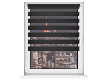 vyr 310 exclusive cerna 02