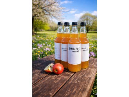 ChatGPT Image 13. 1. 2026 08 58 45