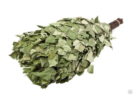 Saunová metlička, bříza