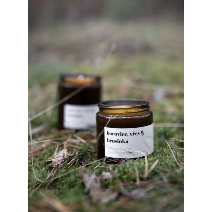 Snímek obrazovky 2025 11 27 v 20.38.30