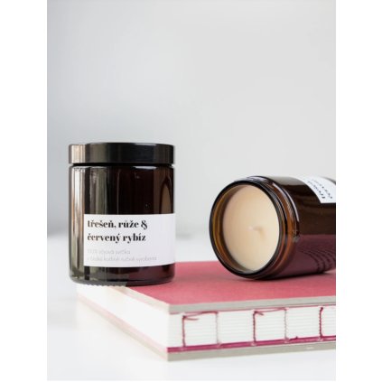 Snímek obrazovky 2024 10 10 v 21.24.13