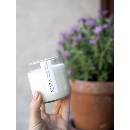 Snímek obrazovky 2025 11 27 v 21.28.08