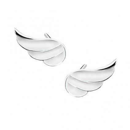 zdobená křídla náušnice