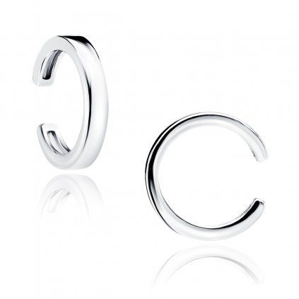 stříbrná záušnice