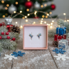 nausnice kolibrici