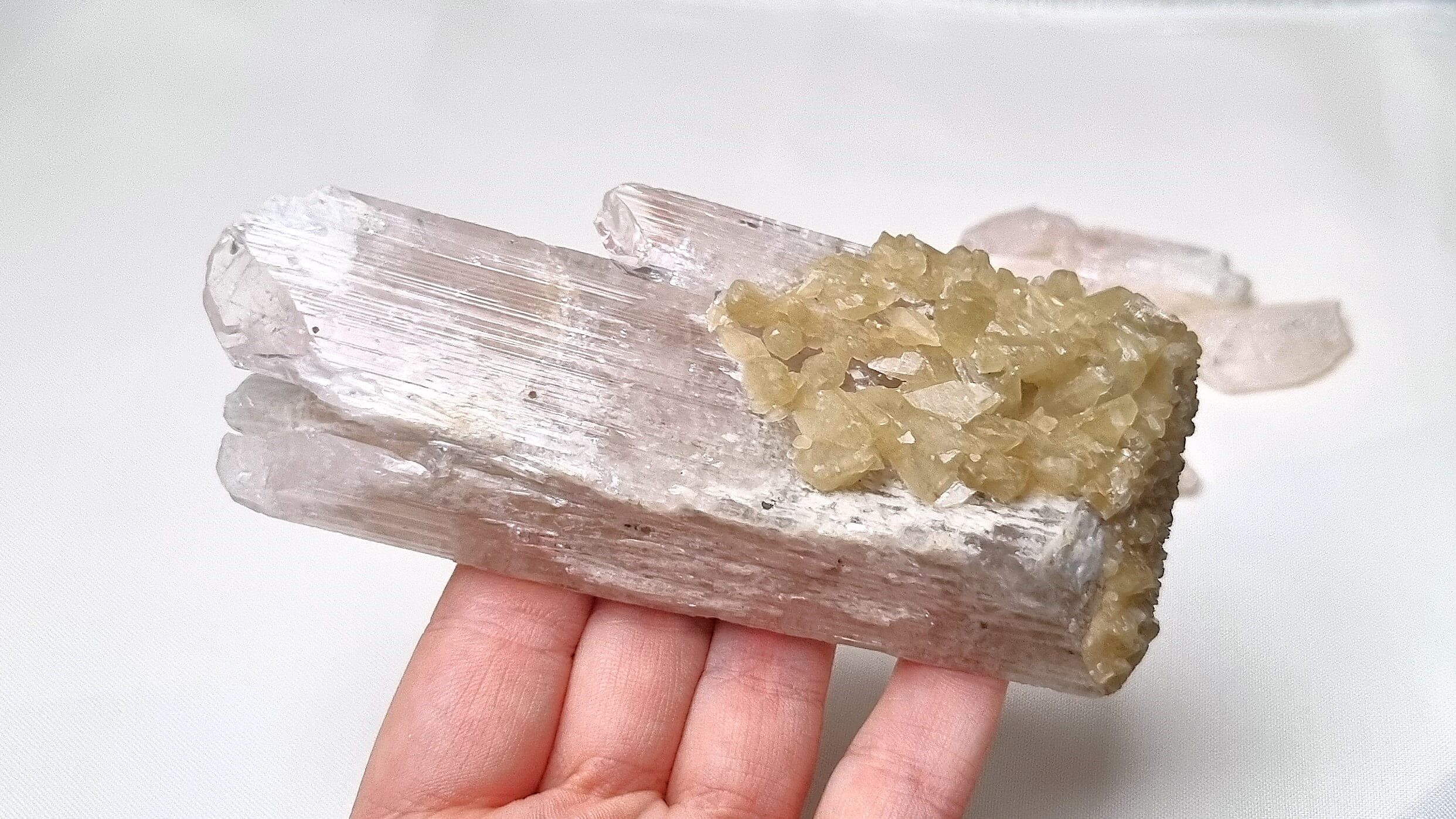 danburite_bigcrystal_sanluispotosi_mexico