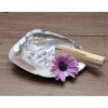 VYkuřovací sada - Palo Santo a mušle perlorodky