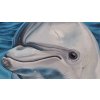 Hyperrealismus - olejomalba DELFÍN, autorská tvorba Markéta Zapletalová