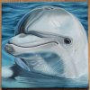 Hyperrealismus - olejomalba DELFÍN, autorská tvorba Markéta Zapletalová