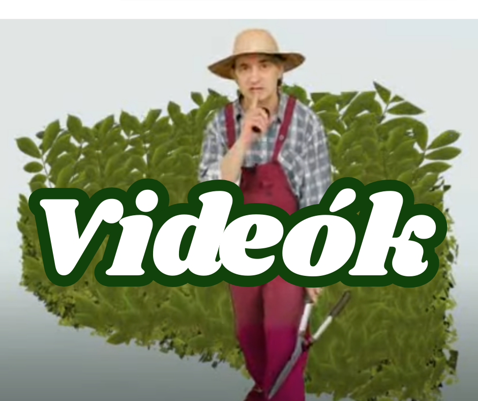Videók : Csodasövényhez, Csodasövényről