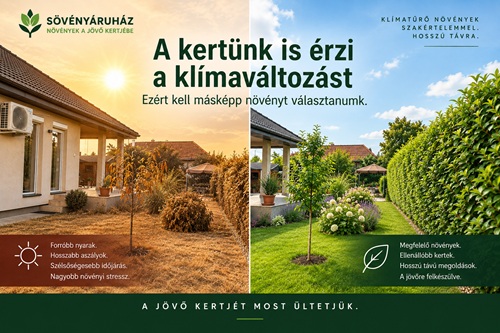 1.cikkhez
