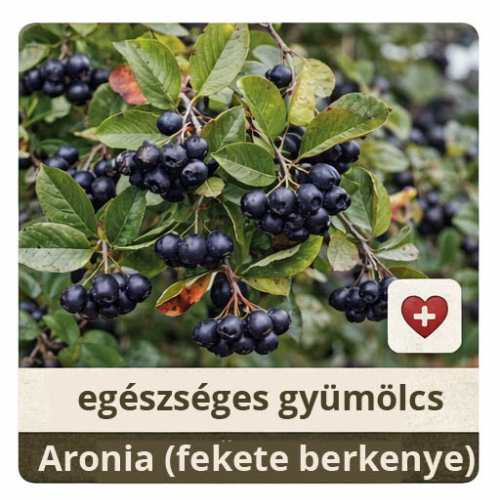 Mézalmacska cikkcsoport