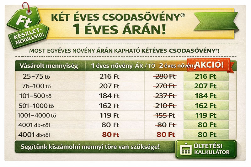 arlepcso_csodasoveny_2_eves_1_eves_aran