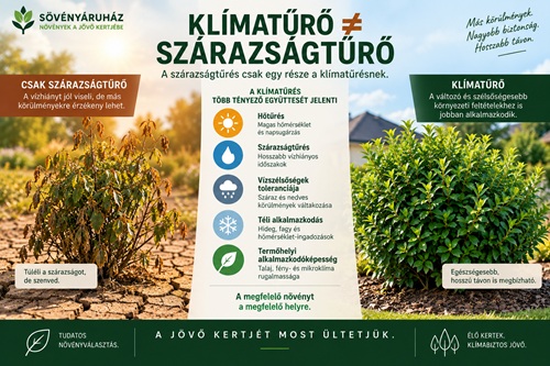klima-ture_nem_szarazsag-tures