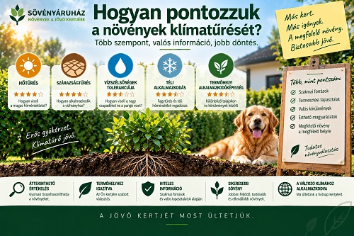 pontozzuk